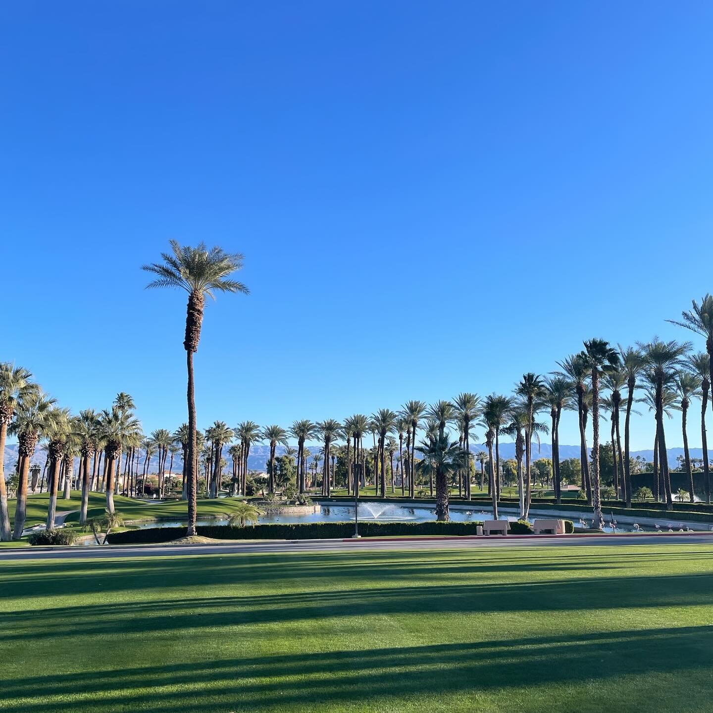 Better late than never😬..&hellip;.Happy new year! 🥂
.
.
.
#happynewyear #palmsprings #newyeargetaway #palmtrees #california #palmspringslife #palmspringsstyle  #palmspringsliving #happyplace #wintergetaway 
📸 - @aisletravelaway